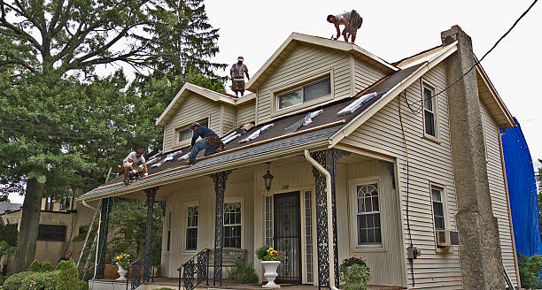 Best Residential Roofing Contractor  in Risg Sun, IN